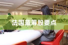 法国蓝筹股要点