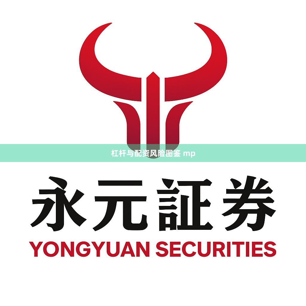 杠杆与配资风险图鉴 mp
